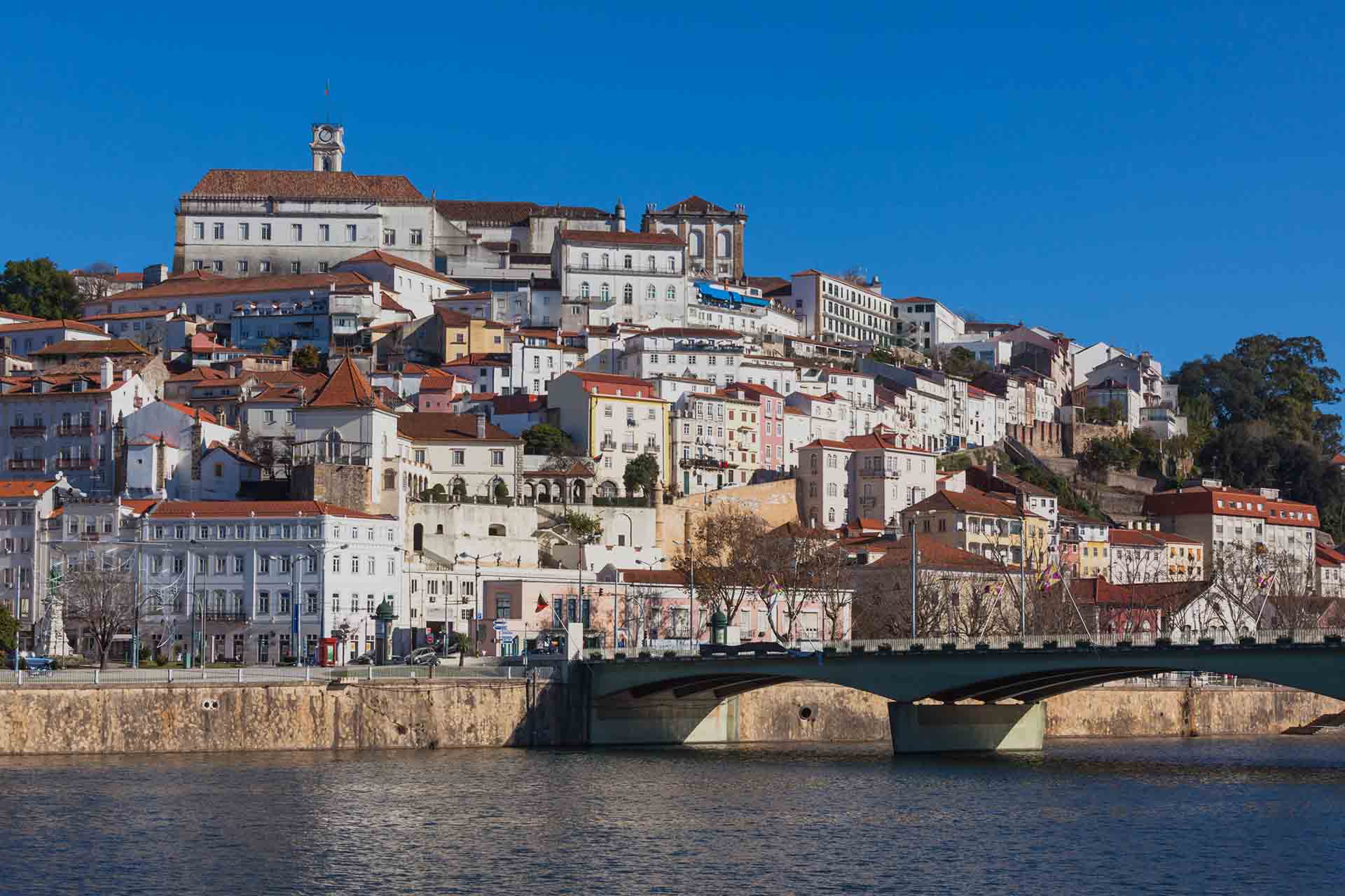 MoteLovers.com Coimbra